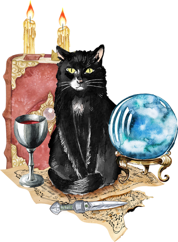 Magic Cat with Book and Magic Ball