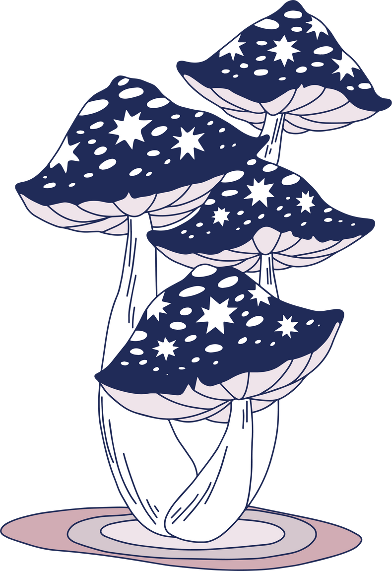 Hand Drawn Magical Mushrooms